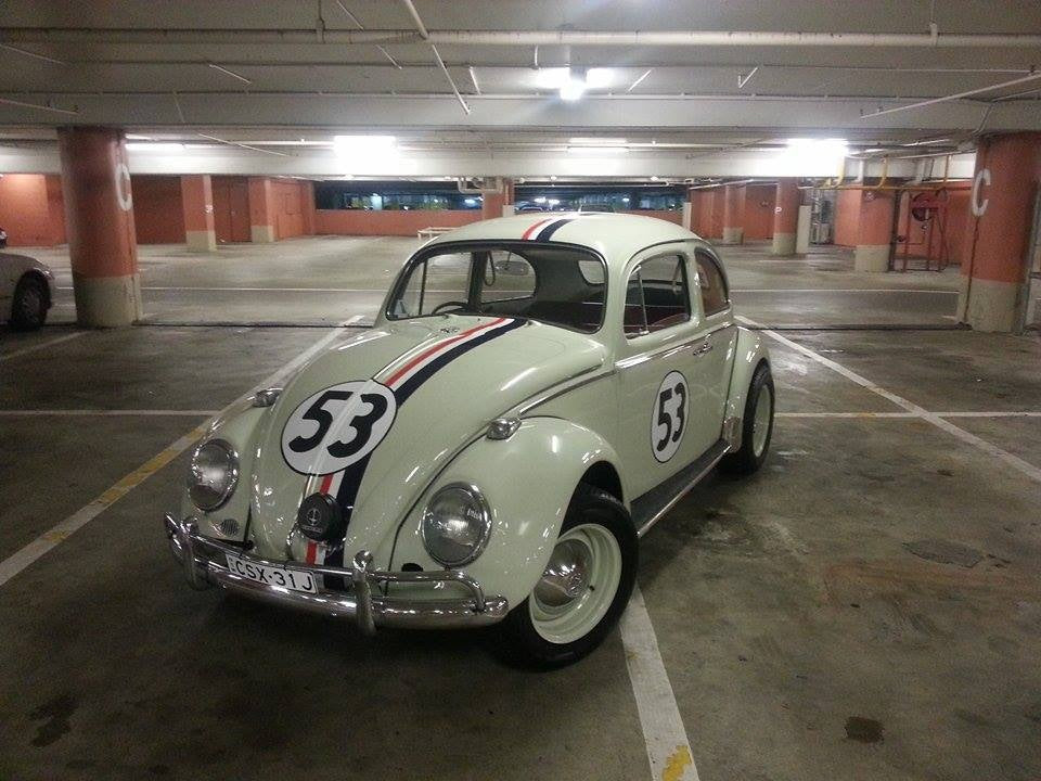 Decal Kit