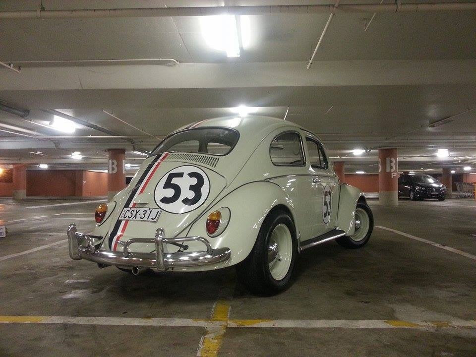 Decal Kit