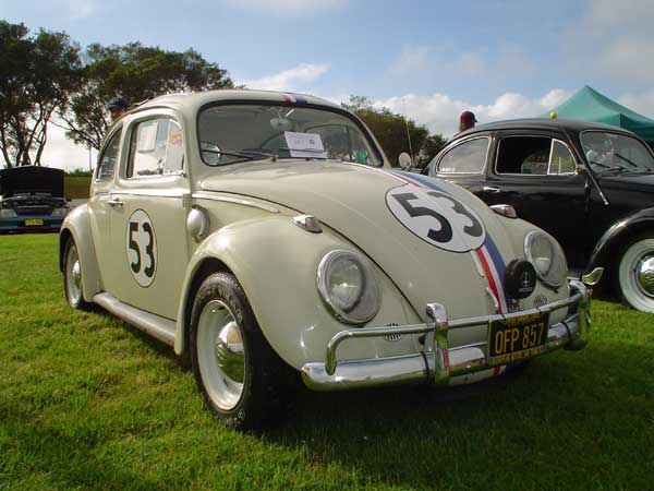 Decal Kit